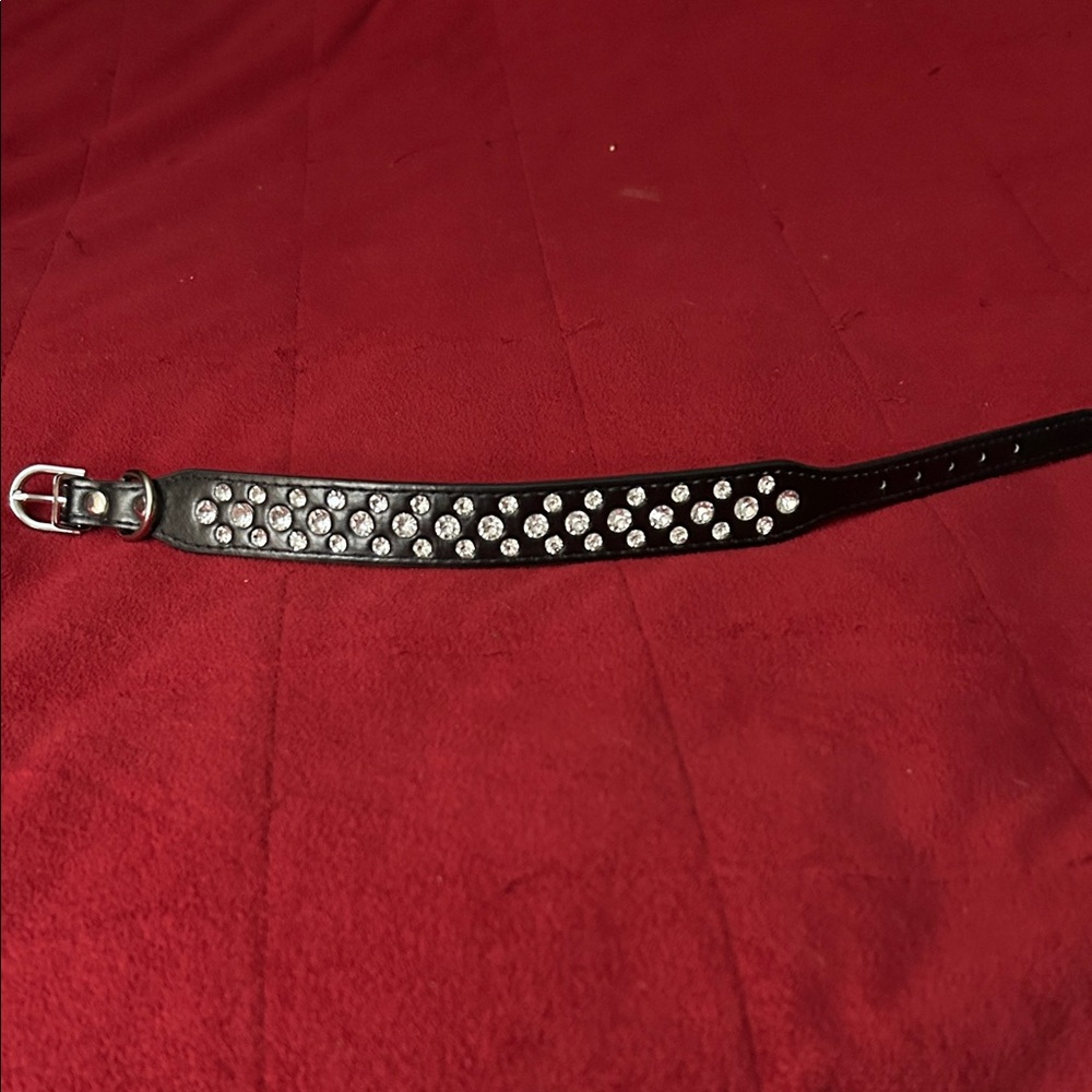 Black Studded Leather S-M  dog collar